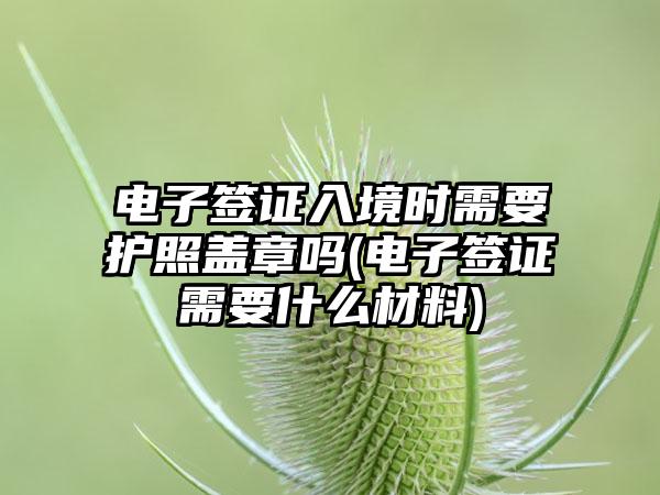 电子签证入境时需要护照盖章吗(电子签证需要什么材料)