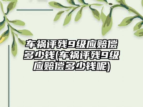 车祸评残9级应赔偿多少钱(车祸评残9级应赔偿多少钱呢)