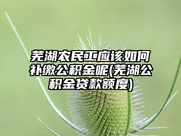 芜湖农民工应该如何补缴公积金呢(芜湖公积金贷款额度)