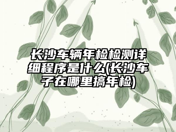 长沙车辆年检检测详细程序是什么(长沙车子在哪里搞年检)