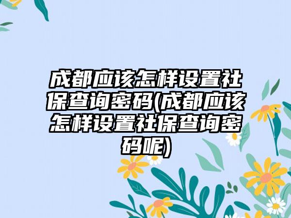成都应该怎样设置社保查询密码(成都应该怎样设置社保查询密码呢)