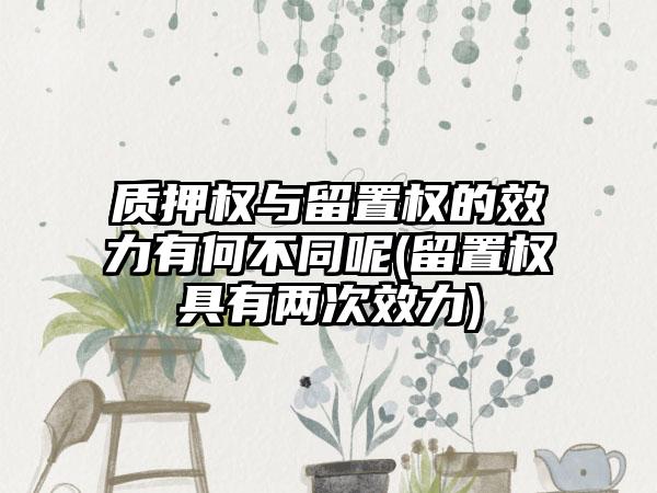 质押权与留置权的效力有何不同呢(留置权具有两次效力)