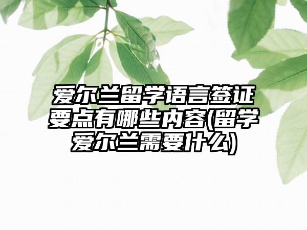 爱尔兰留学语言签证要点有哪些内容(留学爱尔兰需要什么)