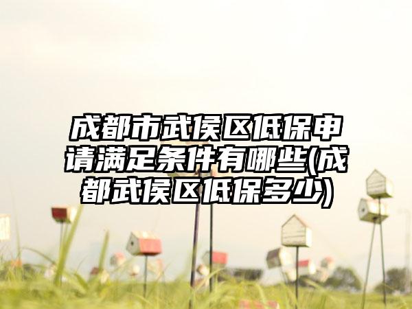 成都市武侯区低保申请满足条件有哪些(成都武侯区低保多少)