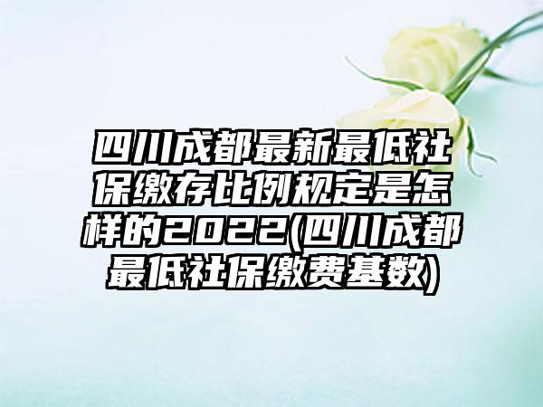 四川成都最新最低社保缴存比例规定是怎样的2022(四川成都最低社保缴费基数)