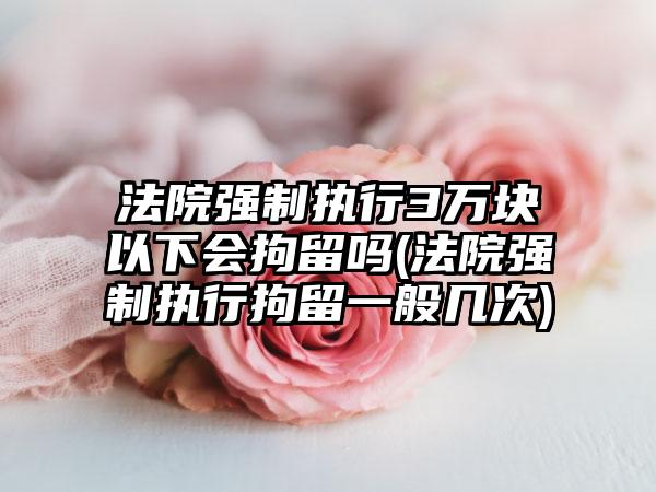 法院强制执行3万块以下会拘留吗(法院强制执行拘留一般几次)