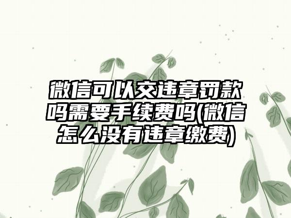 微信可以交违章罚款吗需要手续费吗(微信怎么没有违章缴费)