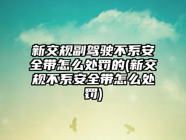 新交规副驾驶不系安全带怎么处罚的(新交规不系安全带怎么处罚)