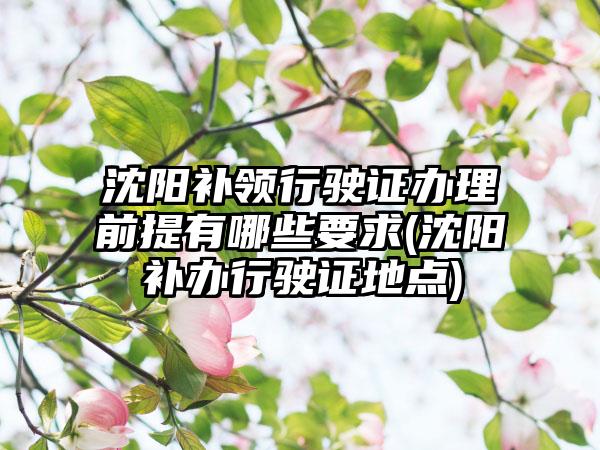 沈阳补领行驶证办理前提有哪些要求(沈阳补办行驶证地点)