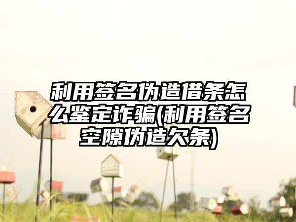 利用签名伪造借条怎么鉴定诈骗(利用签名空隙伪造欠条)