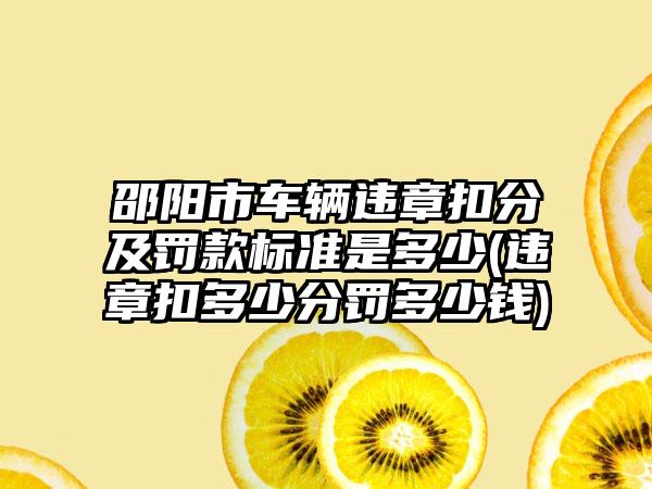 邵阳市车辆违章扣分及罚款标准是多少(违章扣多少分罚多少钱)