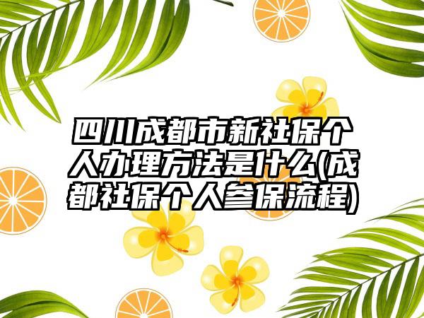 四川成都市新社保个人办理方法是什么(成都社保个人参保流程)