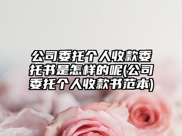 公司委托个人收款委托书是怎样的呢(公司委托个人收款书范本)