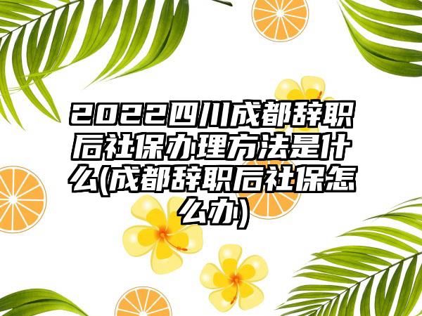2022四川成都辞职后社保办理方法是什么(成都辞职后社保怎么办)