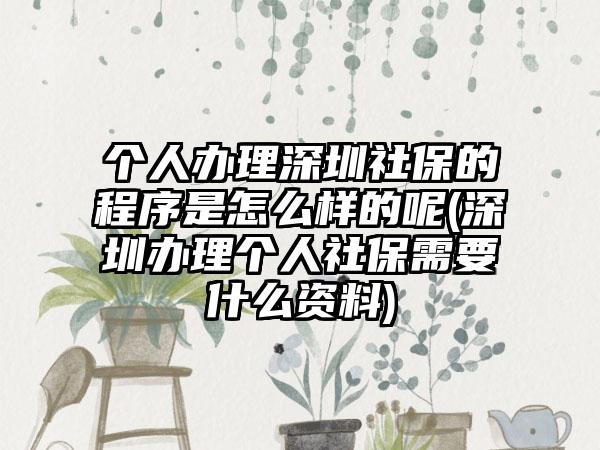 个人办理深圳社保的程序是怎么样的呢(深圳办理个人社保需要什么资料)