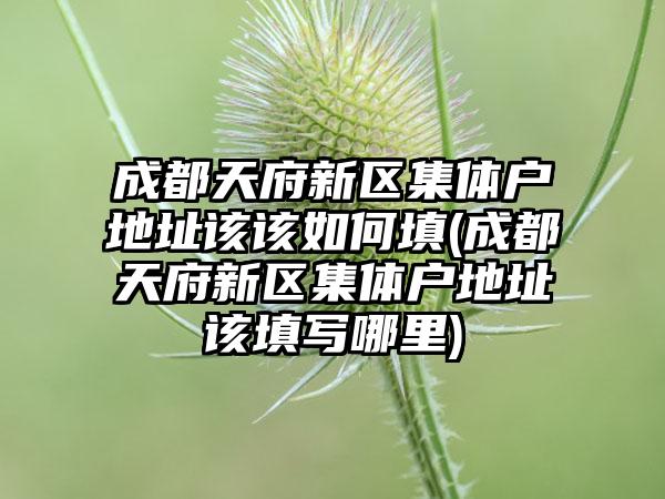 成都天府新区集体户地址该该如何填(成都天府新区集体户地址该填写哪里)