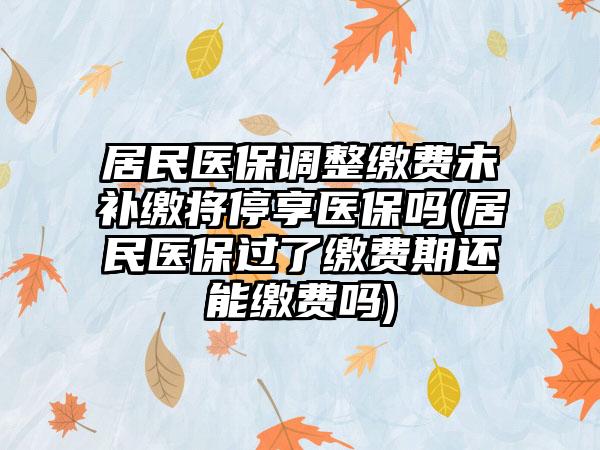 居民医保调整缴费未补缴将停享医保吗(居民医保过了缴费期还能缴费吗)