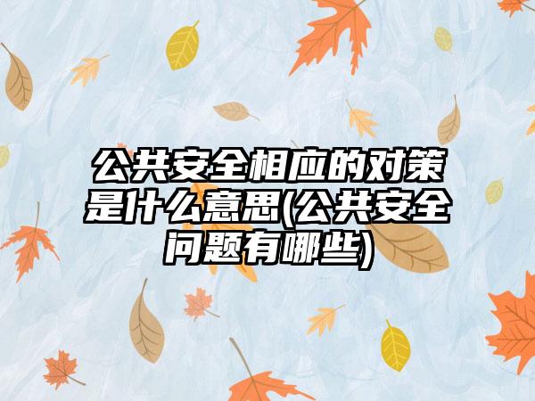 公共安全相应的对策是什么意思(公共安全问题有哪些)