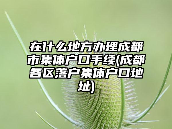 在什么地方办理成都市集体户口手续(成都各区落户集体户口地址)