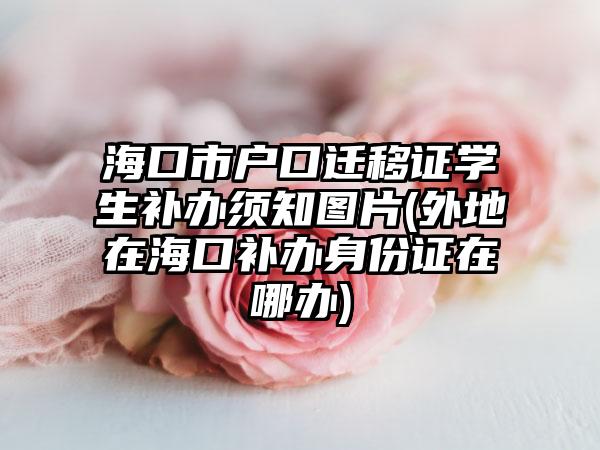 海口市户口迁移证学生补办须知图片(外地在海口补办身份证在哪办)