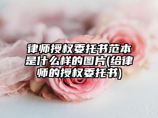 律师授权委托书范本是什么样的图片(给律师的授权委托书)