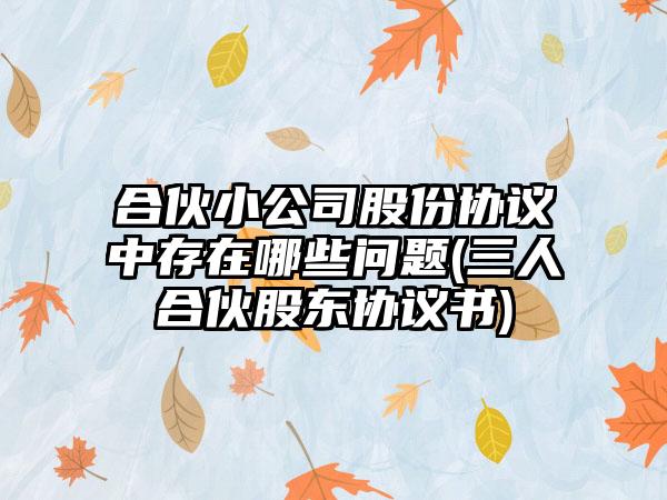合伙小公司股份协议中存在哪些问题(三人合伙股东协议书)