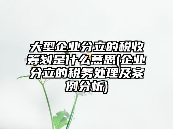 大型企业分立的税收筹划是什么意思(企业分立的税务处理及案例分析)