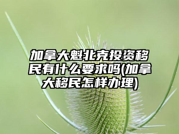 加拿大魁北克投资移民有什么要求吗(加拿大移民怎样办理)