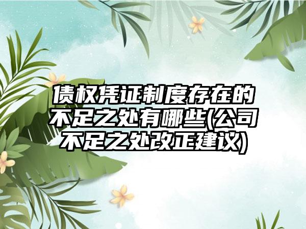 债权凭证制度存在的不足之处有哪些(公司不足之处改正建议)