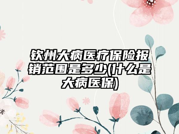 钦州大病医疗保险报销范围是多少(什么是大病医保)