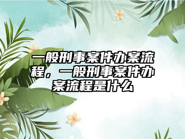 一般刑事案件办案流程，一般刑事案件办案流程是什么