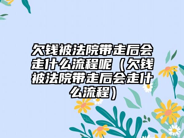 欠钱被法院带走后会走什么流程呢（欠钱被法院带走后会走什么流程）