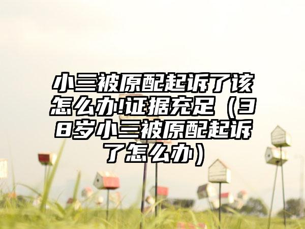 小三被原配起诉了该怎么办!证据充足（38岁小三被原配起诉了怎么办）