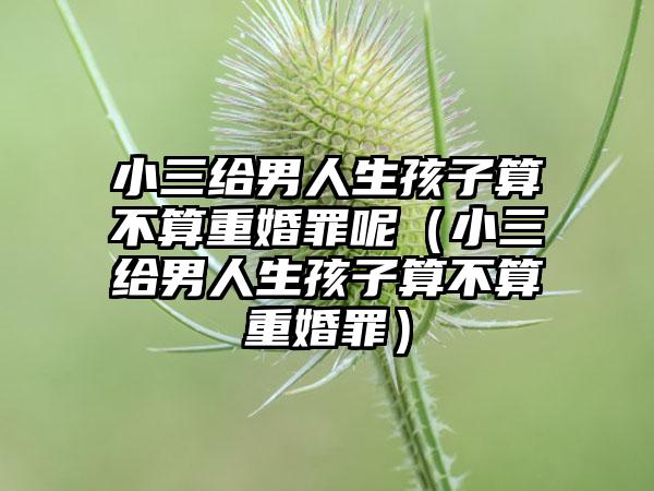 小三给男人生孩子算不算重婚罪呢（小三给男人生孩子算不算重婚罪）