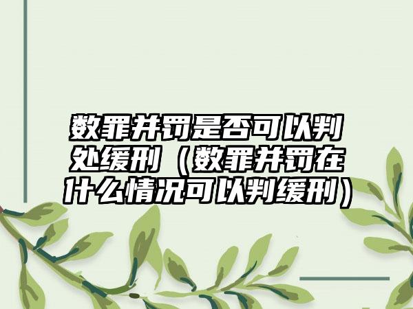 数罪并罚是否可以判处缓刑（数罪并罚在什么情况可以判缓刑）
