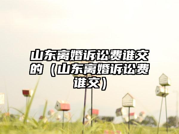 山东离婚诉讼费谁交的(山东离婚诉讼费谁交)