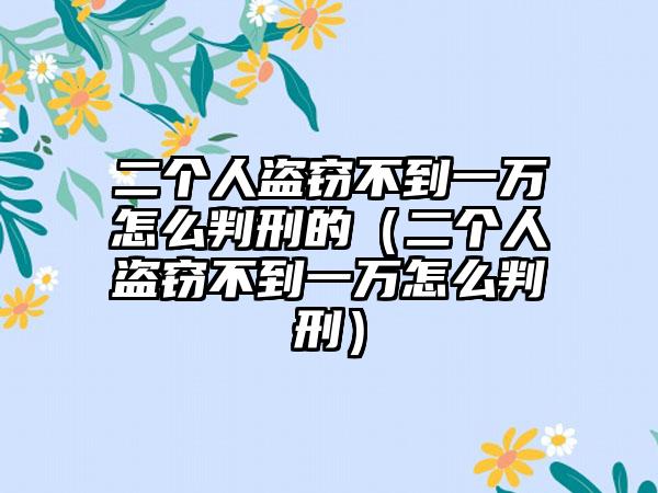 二个人盗窃不到一万怎么判刑的（二个人盗窃不到一万怎么判刑）