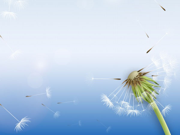 出租车遗失物品不归还会受到怎样的处罚(出租车遗忘物不立案如何找回)