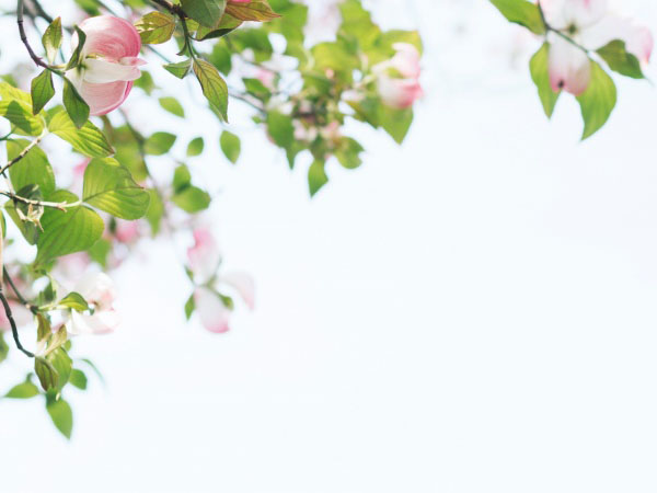 男方出轨一方怎么要求离婚赔偿