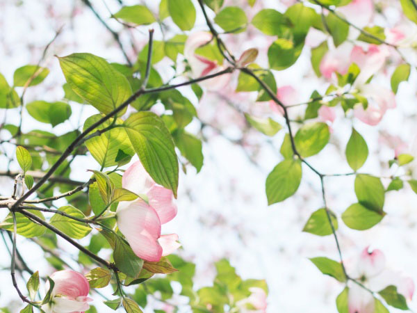 劳务派遣手续怎样办理(劳务派遣手续如何办理)