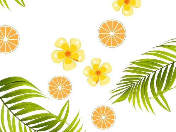 辞职后复职申请书(船舶优先权催告申请书)