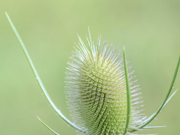 开设赌场罪流水24万会面临怎样处罚