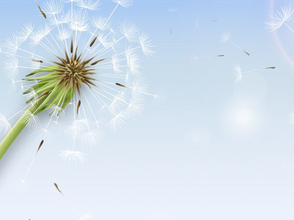 工程补充协议书模板免费，工程补充协议书模板免费打印