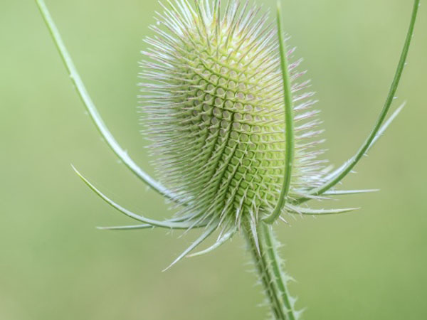 聚众赌博为他人提供场所会受什么处罚