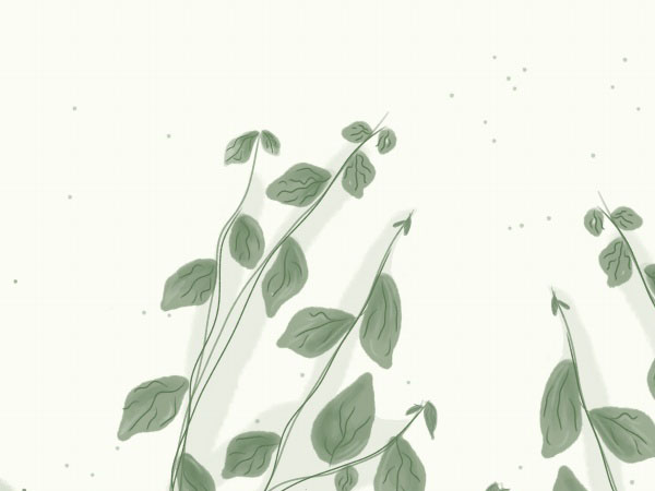 盗窃未离开商场属于盗窃未遂吗