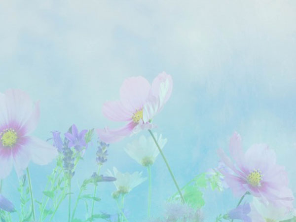 买房贷款申请不下来怎么办(买房贷款时间多长合适)